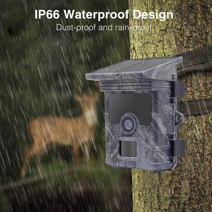 50MP 4K Solar Panel Hunting Camera Infrared Night Vision Monitoring Wildlife Trap Trail Camera Video Photo Recorder Cam