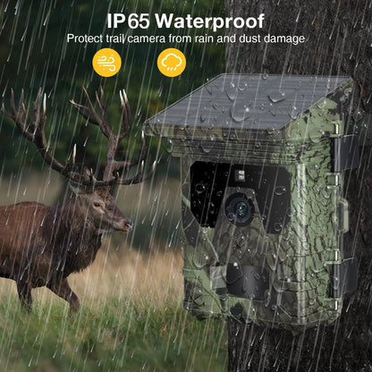 50MP 4K Solar Panel Hunting Camera Infrared Night Vision Monitoring Wildlife Trap Trail Camera Video Photo Recorder Cam