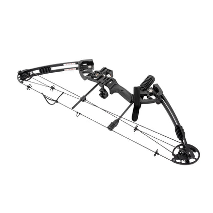 Compound Bow Arrow Set Right Hand Archery Compound Bows Draw Weight 30-55lbs,Adjustable  310fps