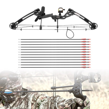 Right Handed Compound Bow Kit   with 12 Arrows 30-55lbs Adjustable