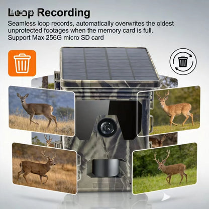 50MP 4K Solar Panel Hunting Camera Infrared Night Vision Monitoring Wildlife Trap Trail Camera Video Photo Recorder Cam
