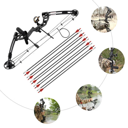 Right Handed Compound Bow Kit   with 12 Arrows 30-55lbs Adjustable