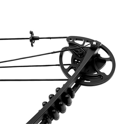 Compound Bow For Adults, Right Hand, Hunting Kit: 3 Pin Lighted Sight For Outdoor Competition, Hunting, Training