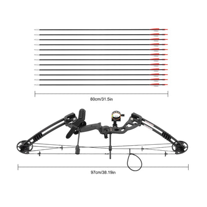 Compound Bow Arrow Set Right Hand Archery Compound Bows Draw Weight 30-55lbs,Adjustable  310fps
