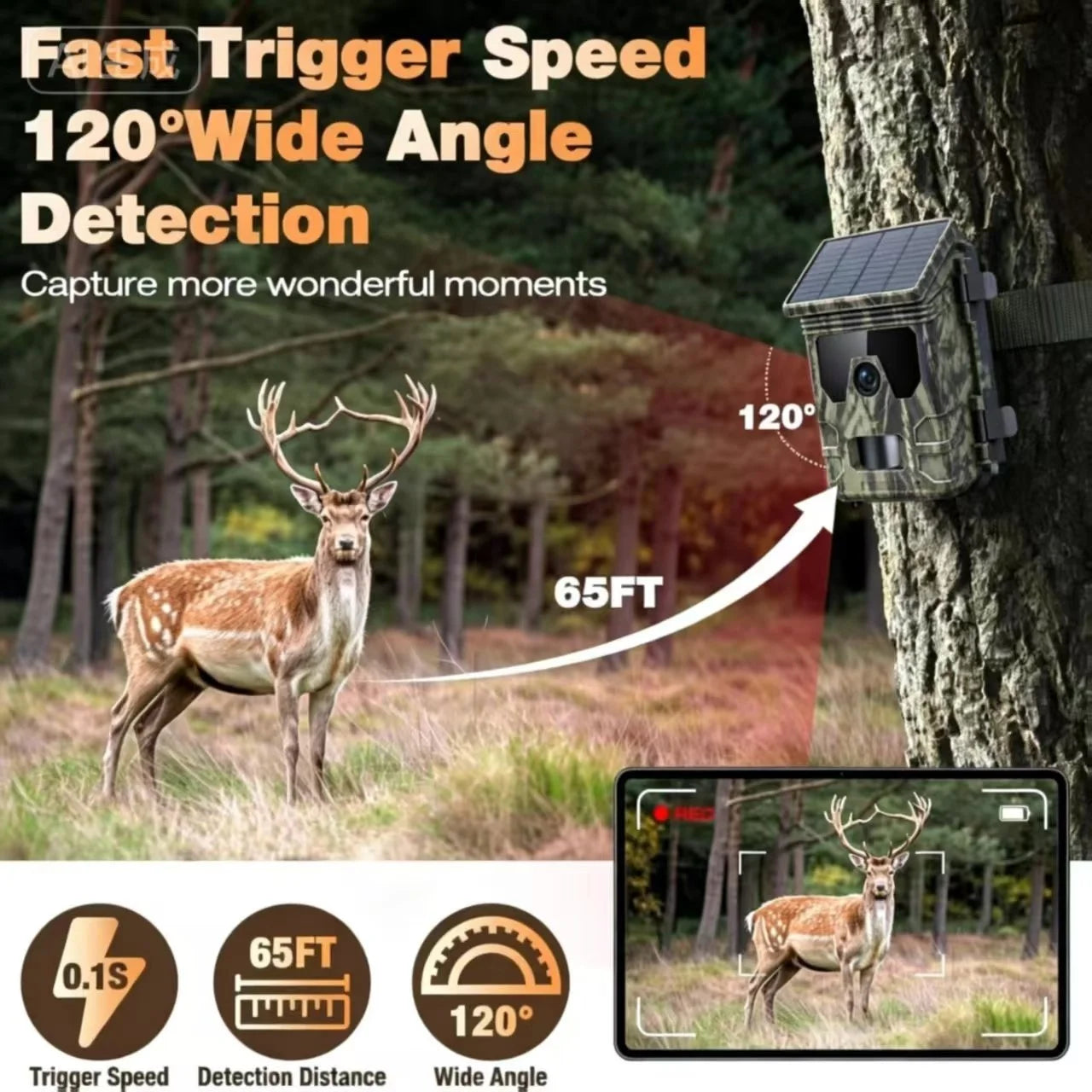 50MP 4K Solar Panel Hunting Camera Infrared Night Vision Monitoring Wildlife Trap Trail Camera Video Photo Recorder Cam