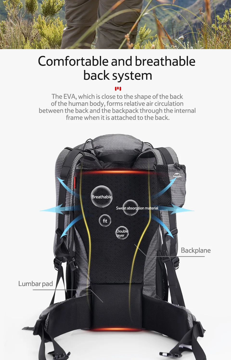 Naturehike Outdoor Mountain Backpack 60+5L Waterproof High Capacity With Rain Cover