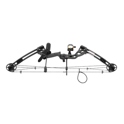 Compound Bow Arrow Set Right Hand Archery Compound Bows Draw Weight 30-55lbs,Adjustable  310fps