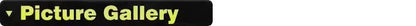 IDOGEAR Tactical Ratchet Belt 1.25” EDC Gun Belt Heavy-Duty Nylon CCW Belts