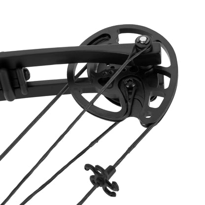 Compound Bow Arrow Set Right Hand Archery Compound Bows Draw Weight 30-55lbs,Adjustable  310fps