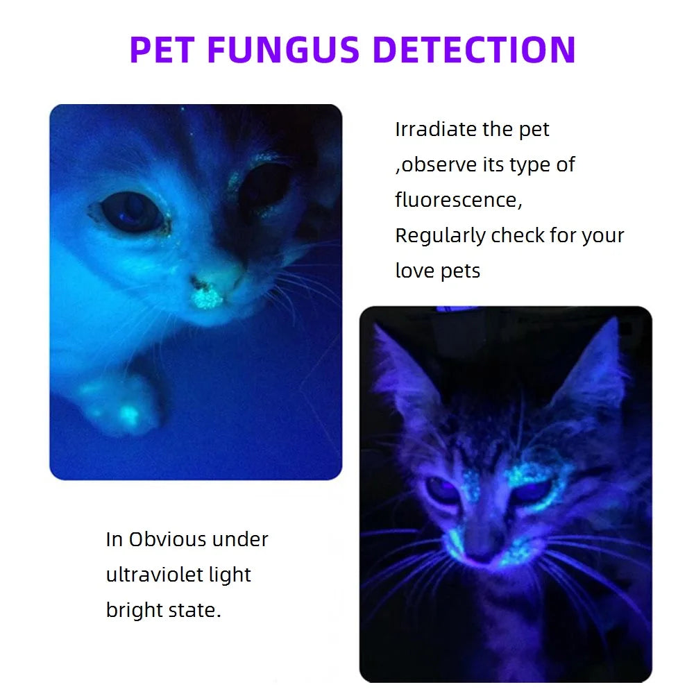 365nm Mini UV Led Blacklight Flashlight Usb Rechargeable Nail lamp Pet Stain Leakage Marker Ore Money Scorpion Detection lights
