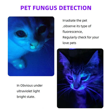365nm Mini UV Led Blacklight Flashlight Usb Rechargeable Nail lamp Pet Stain Leakage Marker Ore Money Scorpion Detection lights